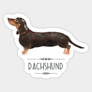 Dachshund Sticker